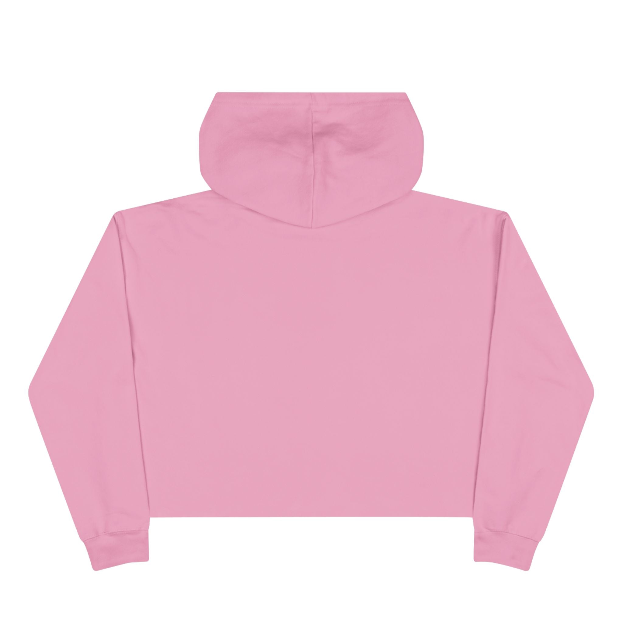 Periwinkle Snail Flower - Crop Hoodie - Savvy Munk - Joy Chasers Club